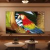 Google TV QLED TCL 65C69B | 4K 65 inch model 2024