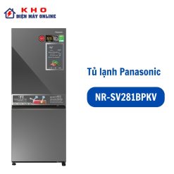 Tủ lạnh Panasonic NR-BV281BGMV 255 lít Inverter