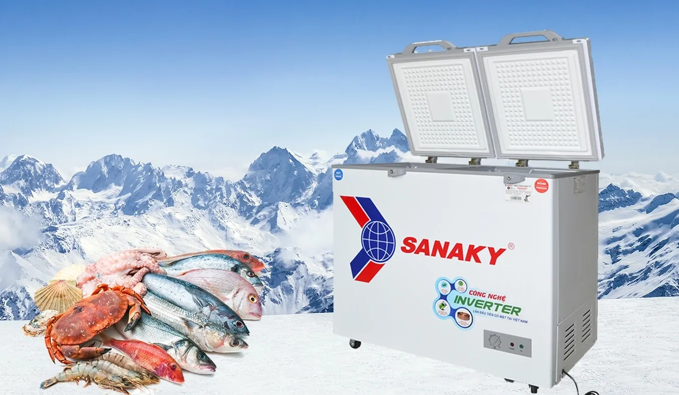 Tủ đông Sanaky Inverter 260 lít VH-3699W4K 2 Tủ đông Sanaky Inverter 260 lít VH-3699W4K độ bền cao