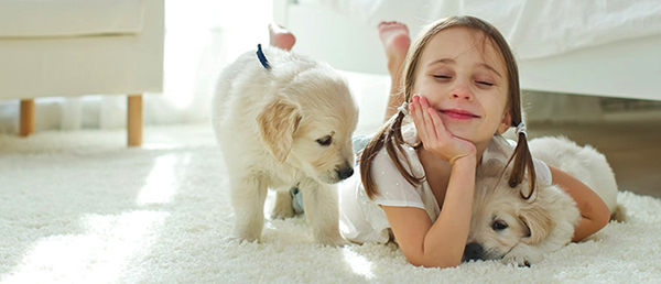 3.4. Ức chế chất gây dị ứng có nguồn gốc từ thú cưng và các chất gây dị ứng