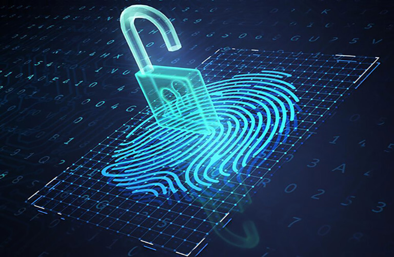 Công nghệ vân tay Area Scanning là công nghệ vân tay hiện đại hiện nay