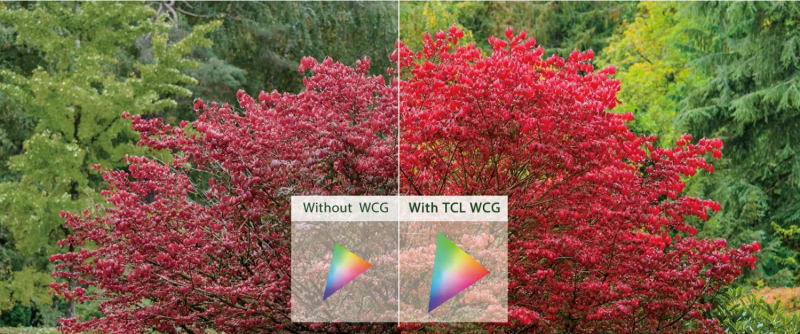 Hình ảnh chân thực, sắc nét