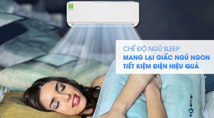 Máy lạnh Electrolux Inverter 1.5 HP ESV12CRR-C2