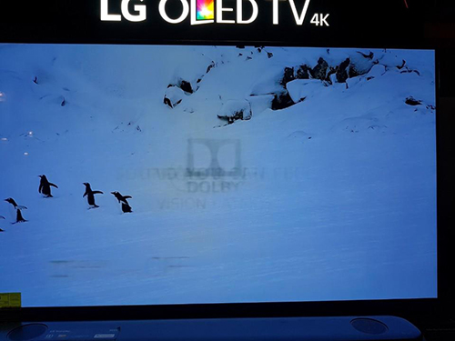 2. Vì sao lại xuất hiện lỗi burn-in trên tivi Oled