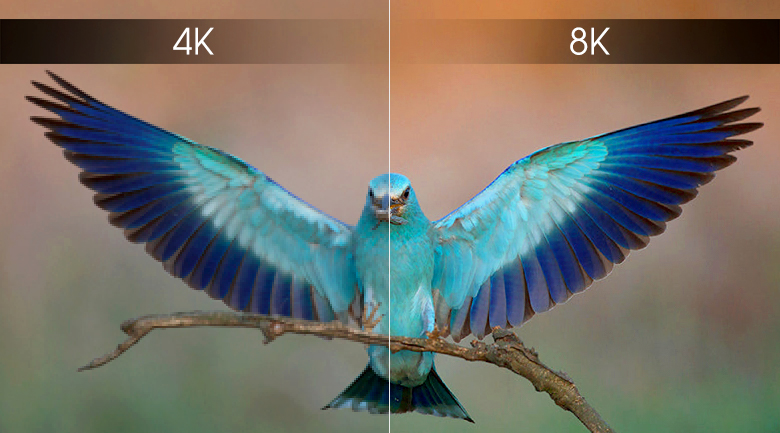 5. So sánh giá tivi 8K và 4K
