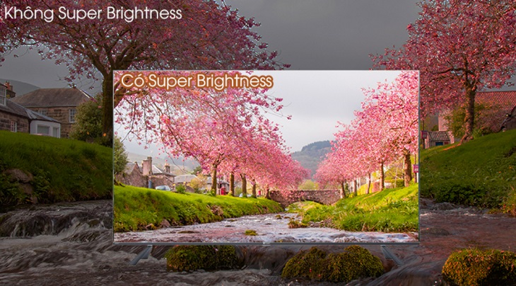 Trang bị công nghệ hình ảnh chân thực, sắc nét 