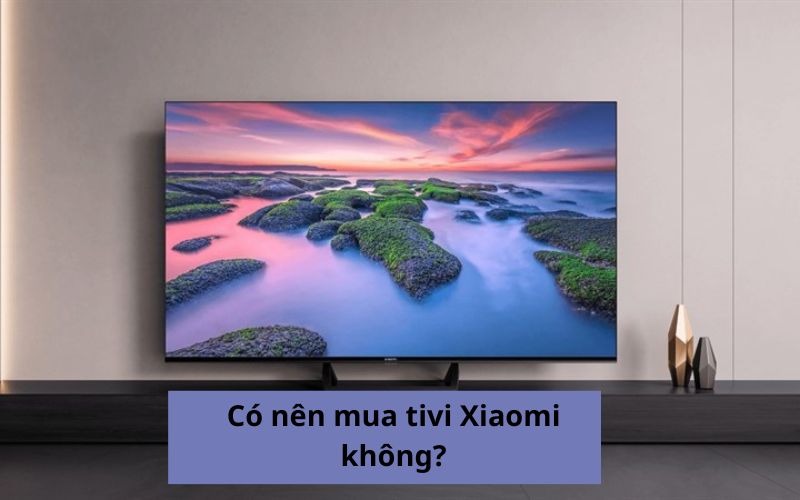 co nen mua tivi xiaomi khong