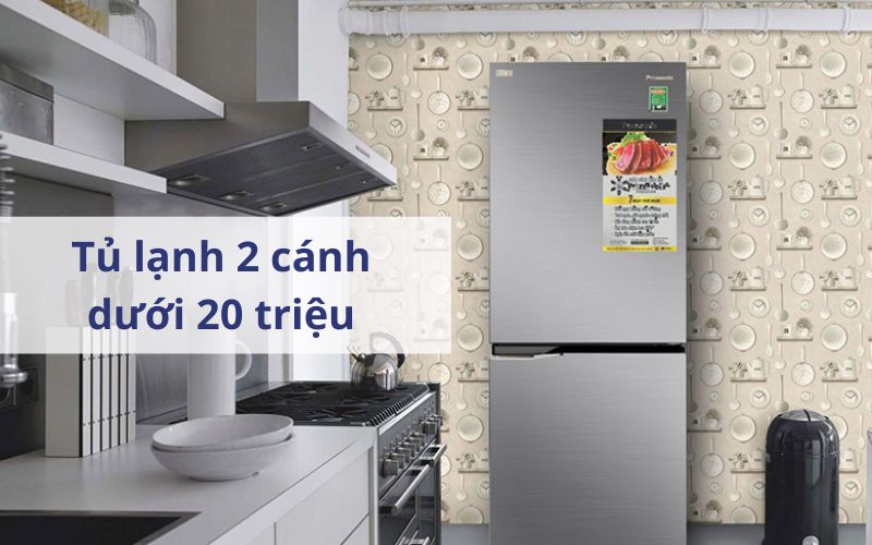 tu lanh 2 canh duoi 20 trieu